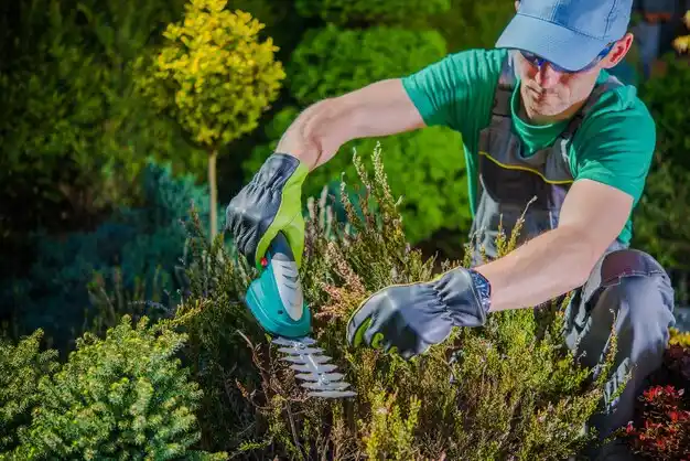 landscaping services Frazeysburg